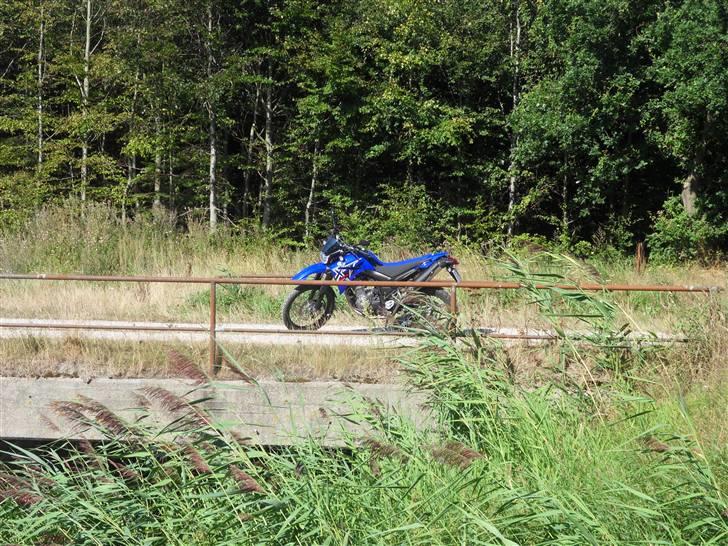 Yamaha XT660R billede 13