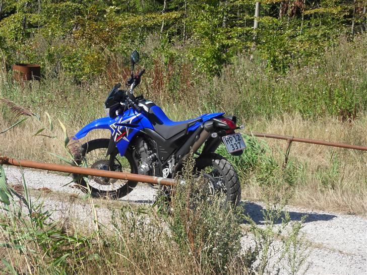 Yamaha XT660R billede 14
