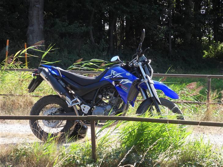 Yamaha XT660R billede 15