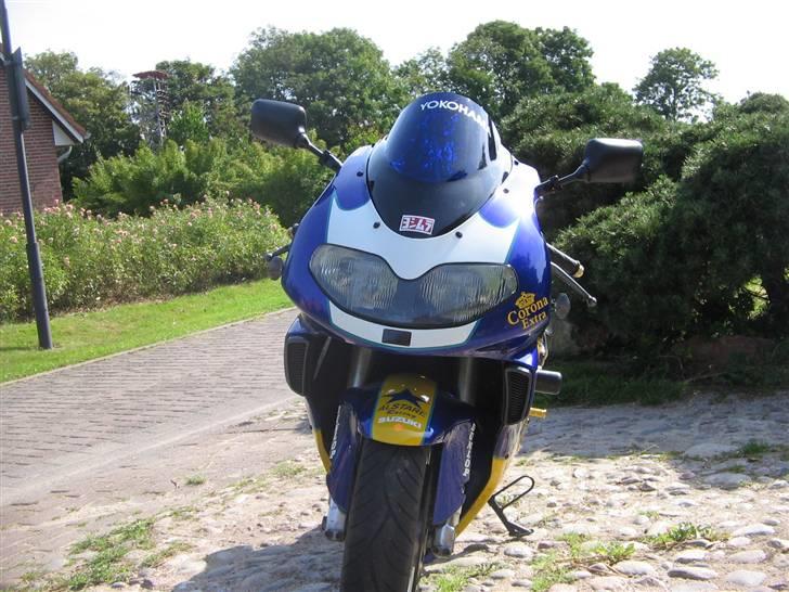 Suzuki TL1000R billede 3