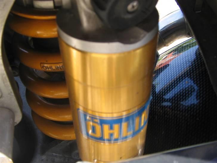 Suzuki TL1000R billede 10