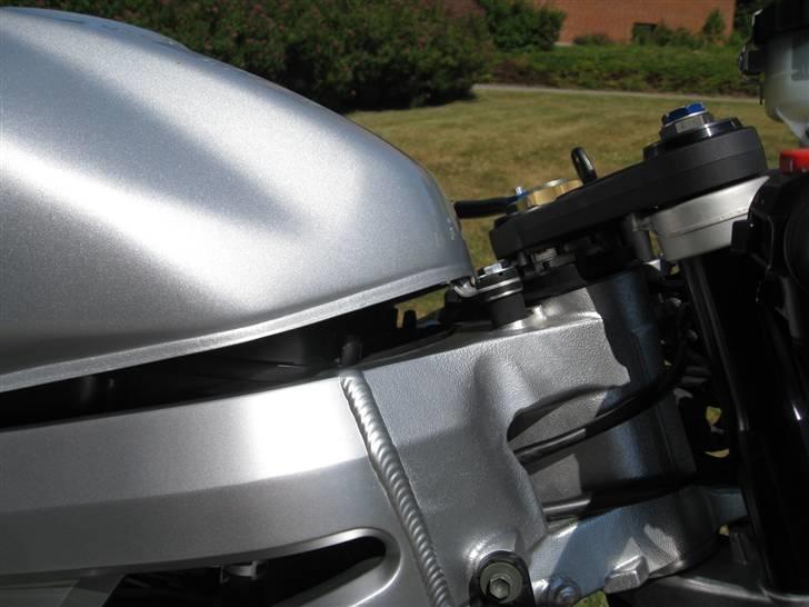 Suzuki SV1000n billede 7