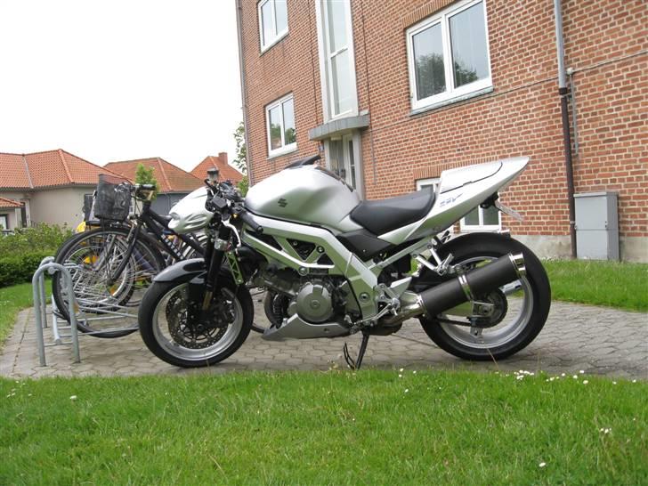 Suzuki SV1000n billede 3