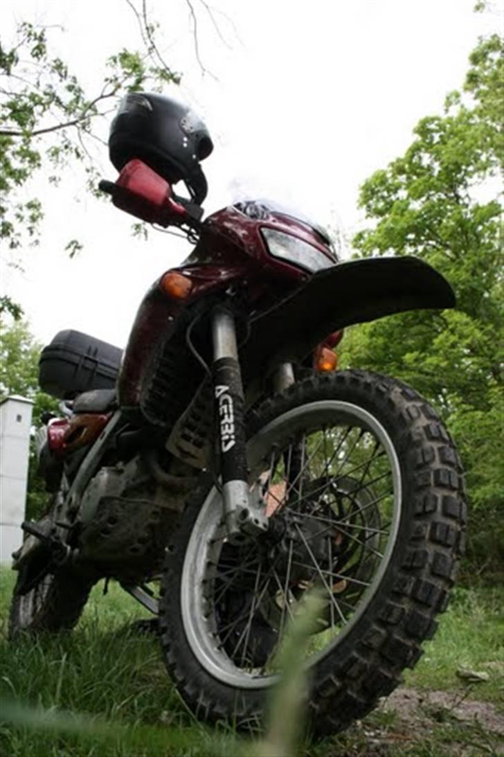 Aprilia Pegaso billede 11