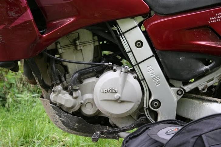 Aprilia Pegaso billede 12