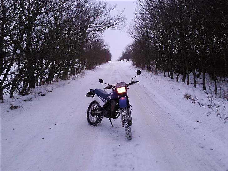 Yamaha DT 175 - I de omgivelser ser den ligefrem godt ud. billede 1