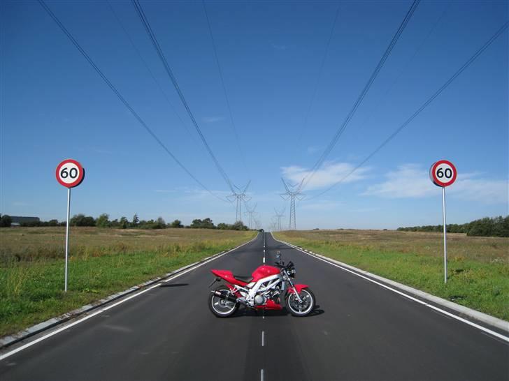 Suzuki sv 1000n billede 3