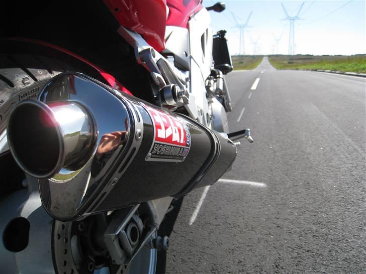 Suzuki sv 1000n billede 5