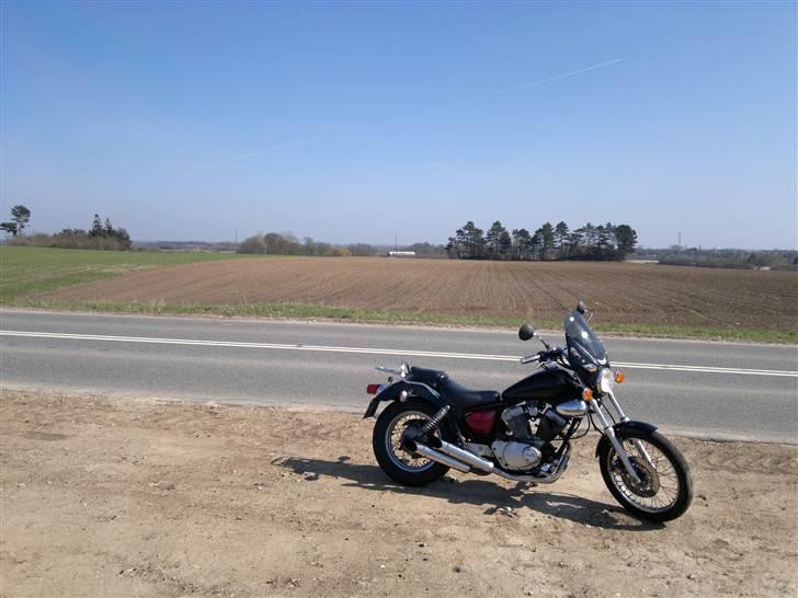 Yamaha XV 250 Virago (Type 3LS) billede 5