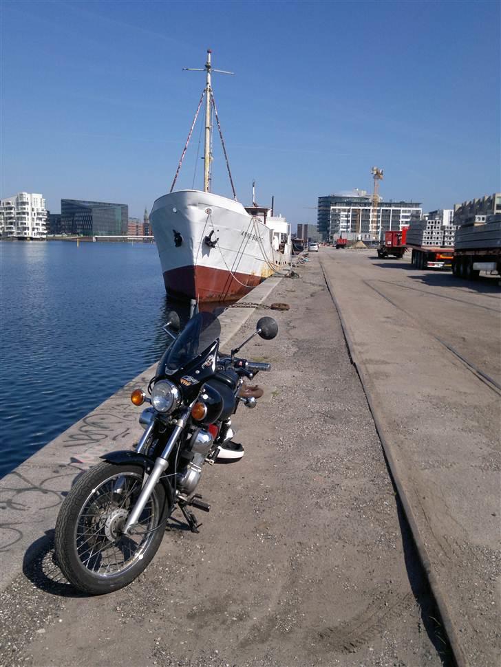 Yamaha XV 250 Virago (Type 3LS) billede 6