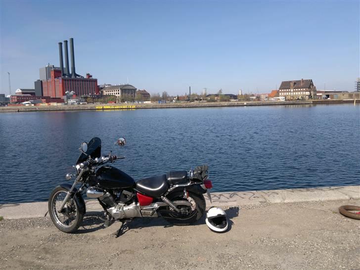 Yamaha XV 250 Virago (Type 3LS) billede 7