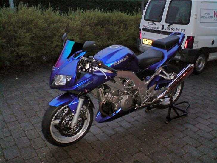 Suzuki Sv 1000s billede 13