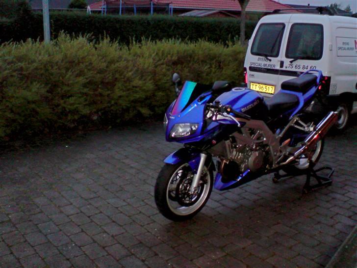 Suzuki Sv 1000s billede 14