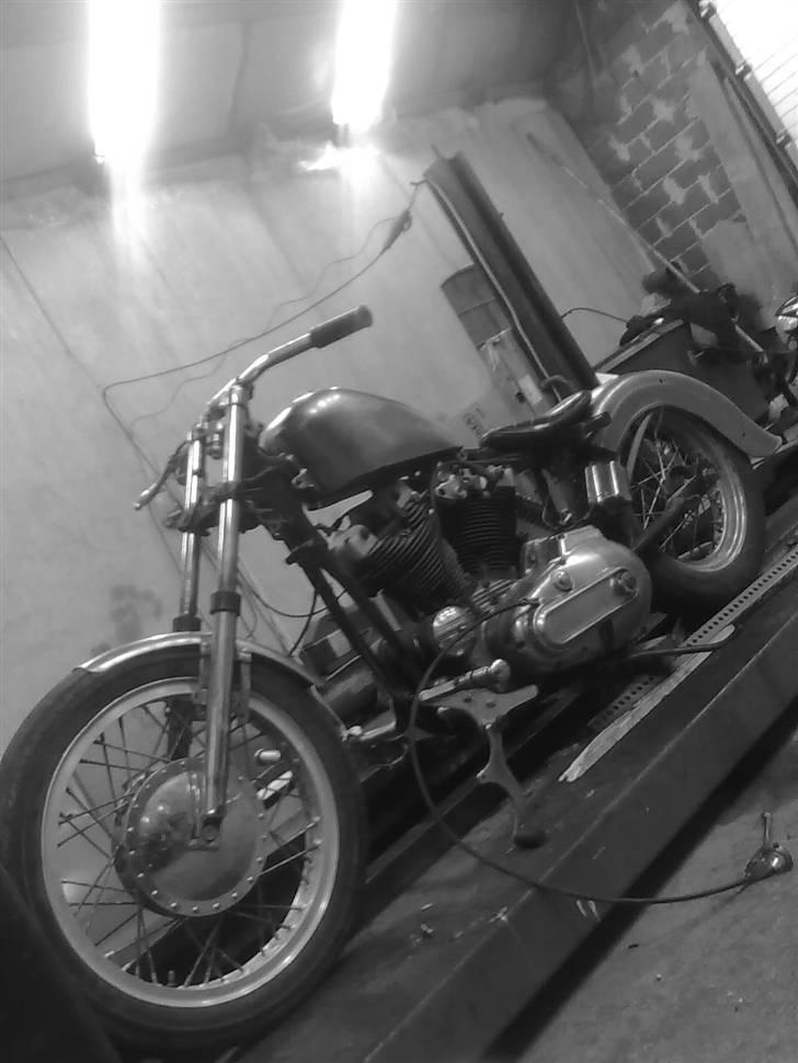 Harley Davidson sportster billede 6
