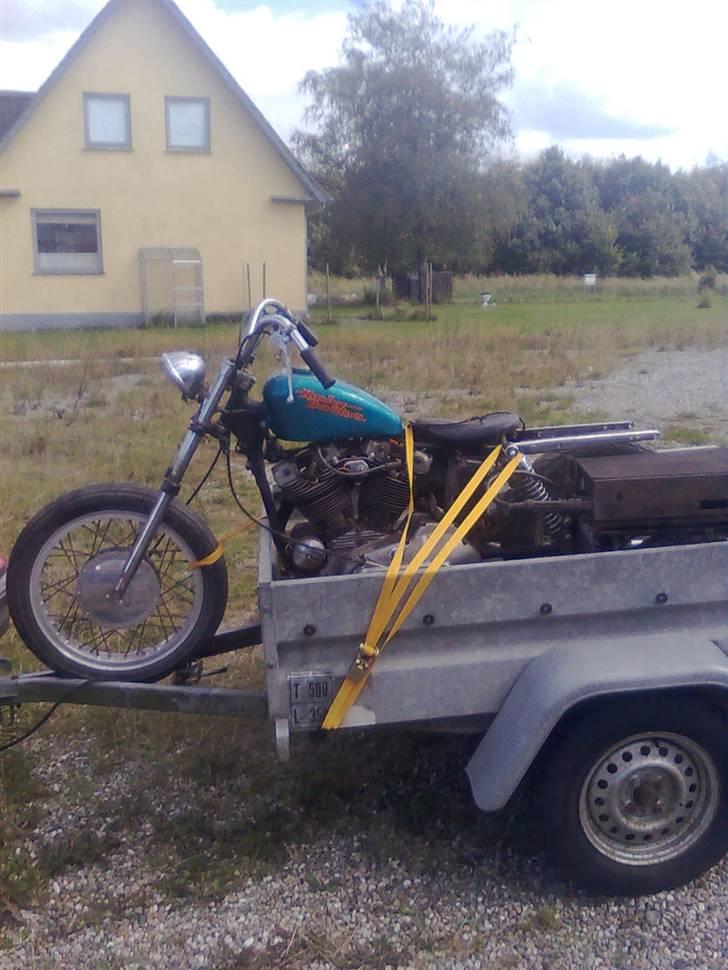 Harley Davidson sportster billede 7