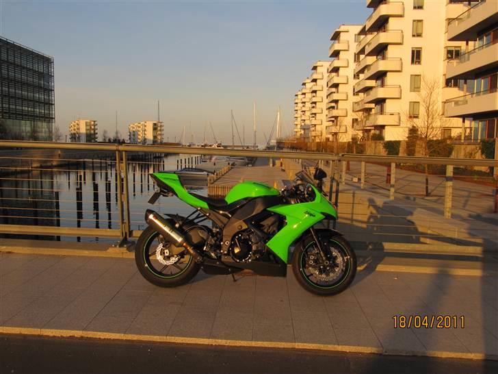 Kawasaki ZX-10R Öhlins Edition - Tuborg Nord billede 8