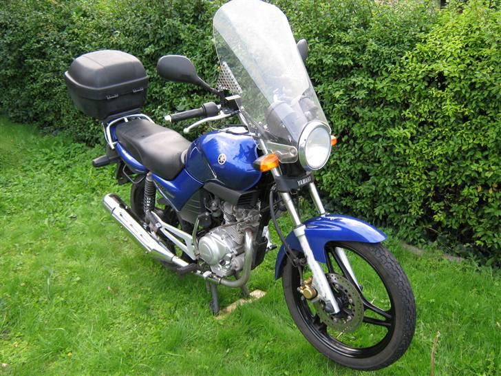 Yamaha YBR 125 billede 5