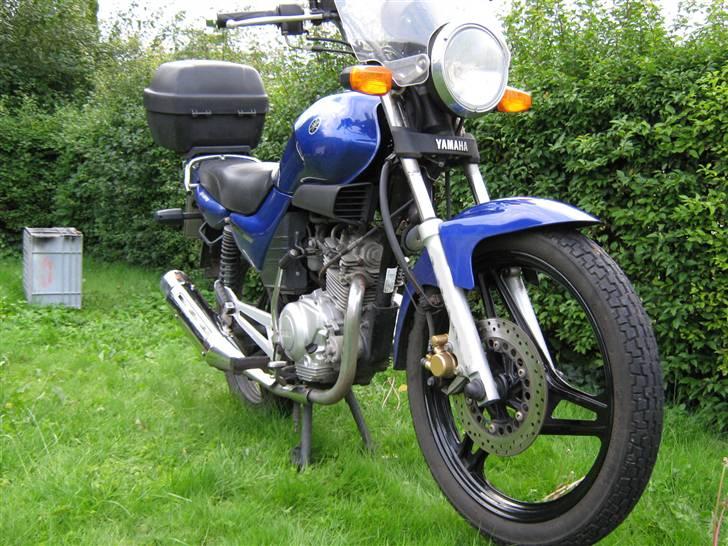 Yamaha YBR 125 billede 6