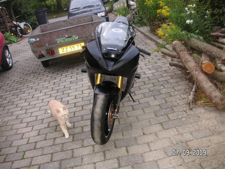 Kawasaki zx6-rr    SOLGT billede 2