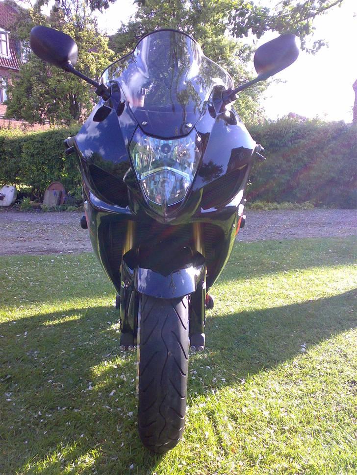 Suzuki Gsxr1000 Limited Edition billede 2