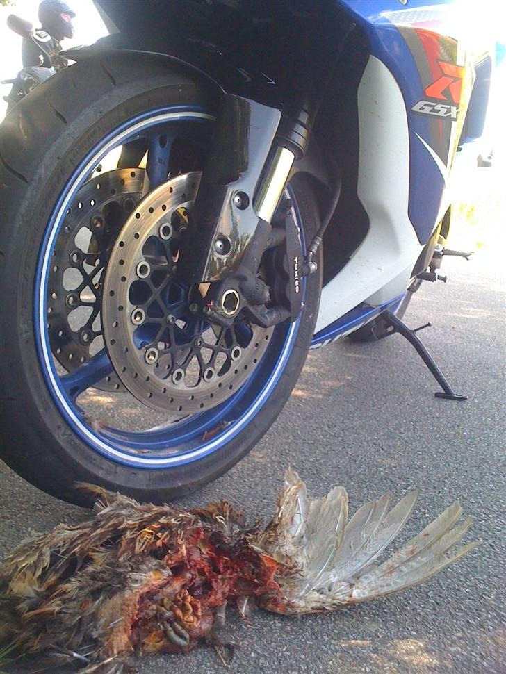 Suzuki Gsx-r 750 *SOLGT* billede 17