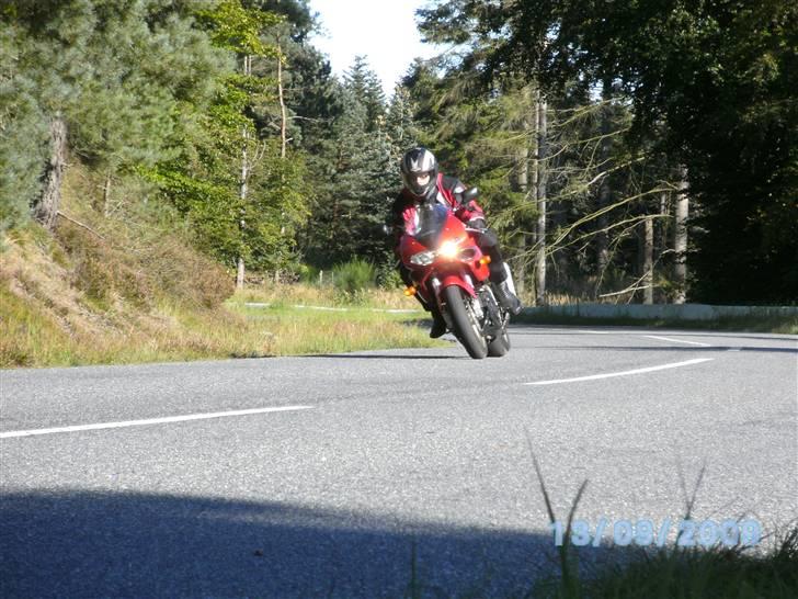 Suzuki TL 1000 S billede 3