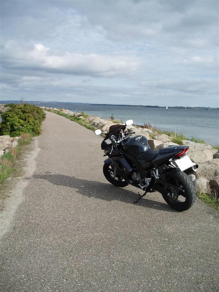 Suzuki SV 650 S - nyeste billede 16-09-09 billede 16