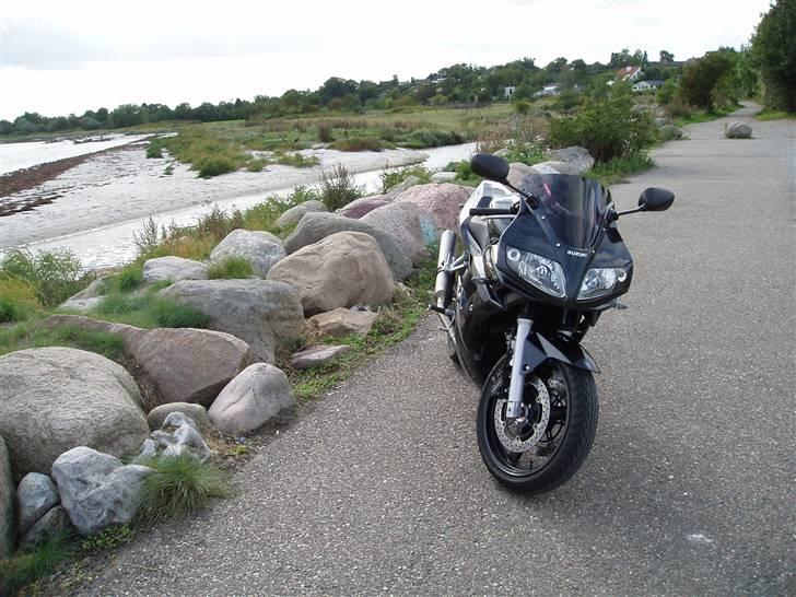 Suzuki SV 650 S - nyeste billede 16-09-09 nu kan man også se den nye tonet vindskærm  billede 19