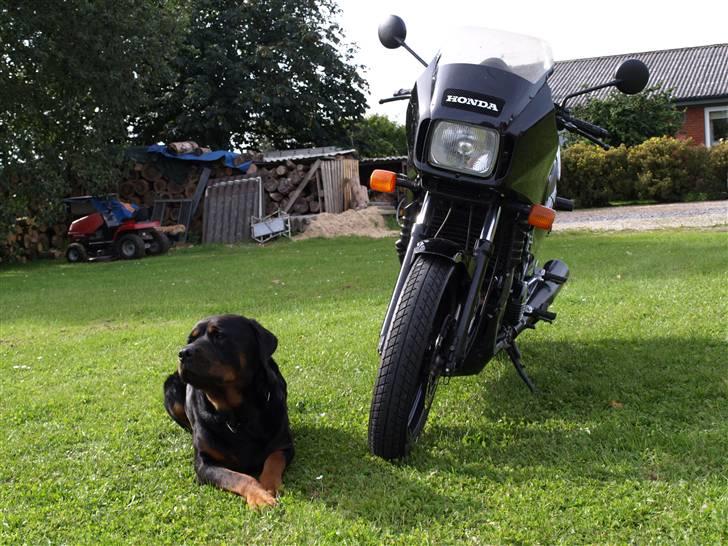 Honda VF1000F (Solgt) billede 5