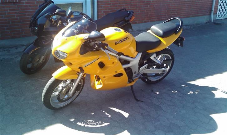 Suzuki SV 650 S billede 3