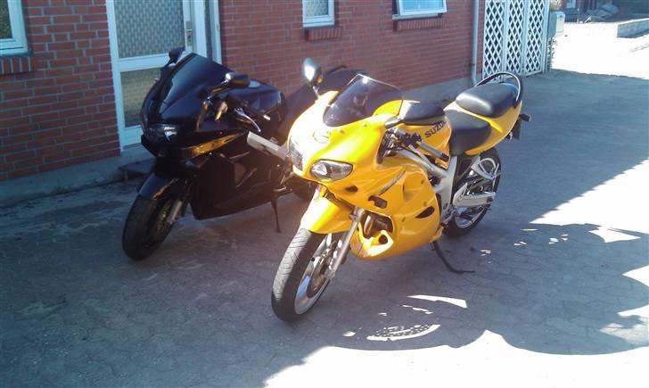 Suzuki SV 650 S billede 5