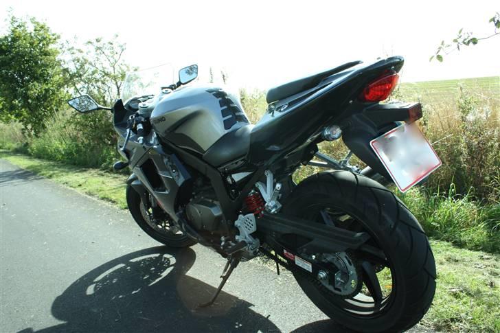 Hyosung GT 250 R      DØD billede 16