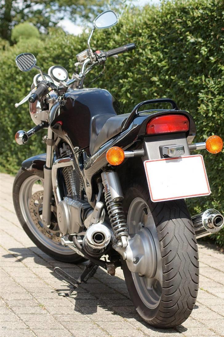 Suzuki VX 800 billede 3