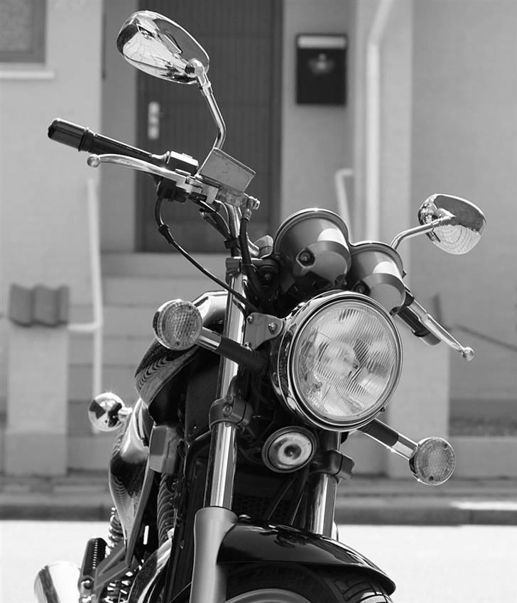 Suzuki VX 800 billede 4