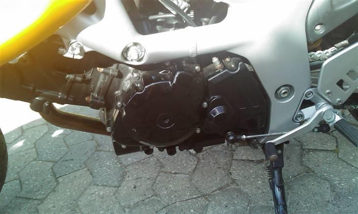 Suzuki SV 650 S billede 6