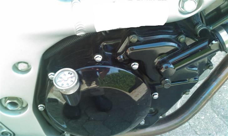 Suzuki SV 650 S billede 12