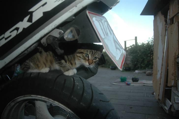 Suzuki Gsxr 400SP II Gk76A SOLGT billede 6