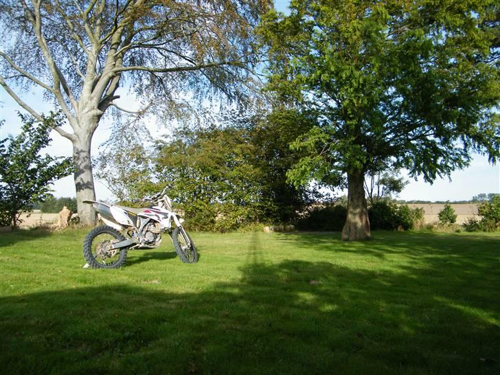 Yamaha YZ450F billede 2