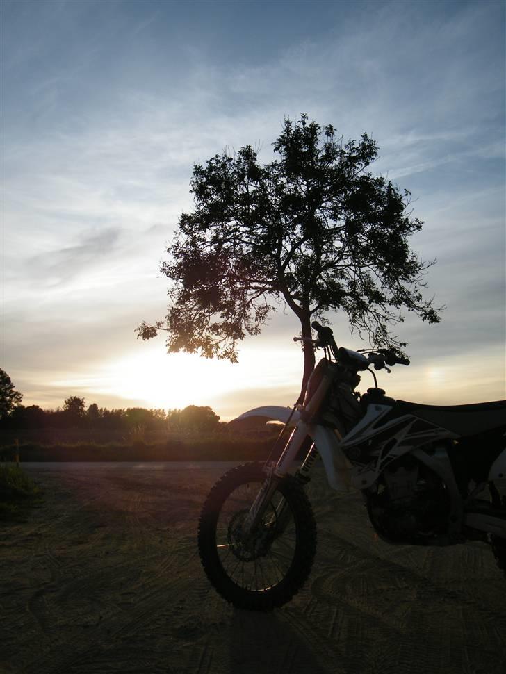 Yamaha YZ450F billede 19