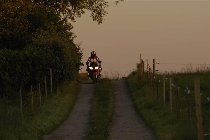 Yamaha yzf-R6 billede 18