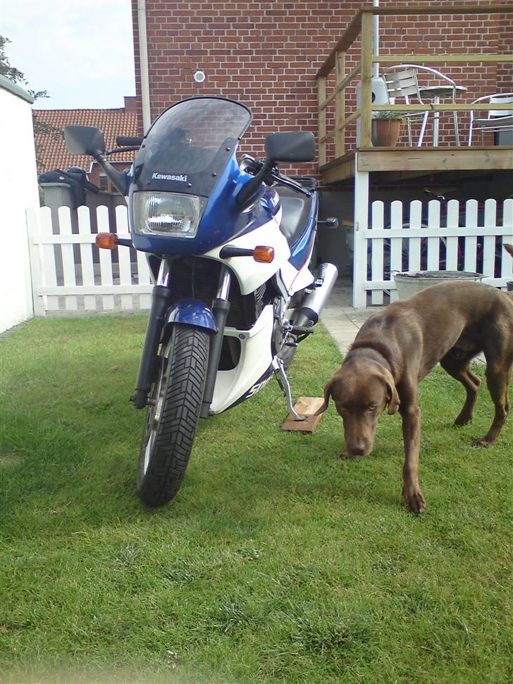 Kawasaki GPZ500S - solgt 7/2010 billede 2