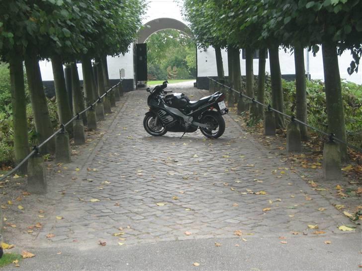 Suzuki Rf 900 R billede 8