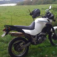 Yamaha XTZ 660 -SOLGT-