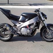 Yamaha FZR 1000 EXUP Streetfight