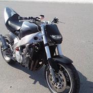 Yamaha FZR 1000 EXUP Streetfight