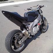 Yamaha FZR 1000 EXUP Streetfight