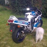 Suzuki gsx-r 750