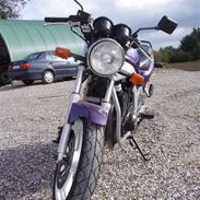 Suzuki gs 500e