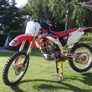 Honda Crf 450 SOLGT