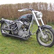 Harley Davidson FL (SOLGT)